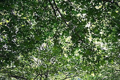 微博发布2023下半年游戏热搜趋势 《王者荣耀》双榜第一